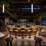 Cover image for Nolita Hall