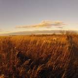 Cover image for Saint Tropez Bistro