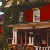 Cover image for The Wooly Pub