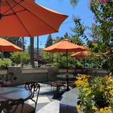 Cover image for Vines Cafe