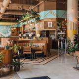 Cover image for The Monroe Orlando