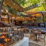 Cover image for Bacari Silverlake