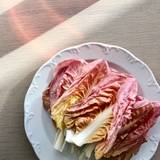 Cover image for Osteria Giulia