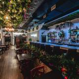 Cover image for MEDI