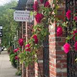 Cover image for Ramsi's Cafe on the World - Highlands