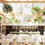 Cover image for Summer House - Chicago