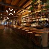 Cover image for The Stand