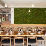 Cover image for Lindens