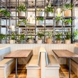 Cover image for Spirit Elephant