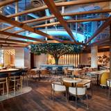 Cover image for Carcara