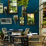 Cover image for Copper Vine