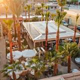 Cover image for Palma - Phoenix