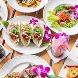 Cover image for SPLASH BAR