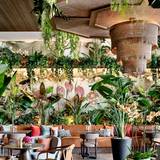 Cover image for Mamey Miami