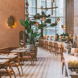 Cover image for KITTEN