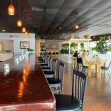 Cover image for Green Lettuce