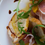 Cover image for Il Pellicano