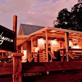 Cover image for Indigenous