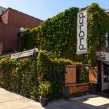 Cover image for Aurora - Williamsburg