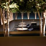 Cover image for Billy After Dark