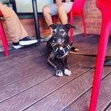 Cover image for The Wine Collective of Scottsdale