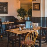 Cover image for The Fountain