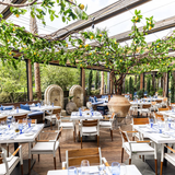 Cover image for Dolce Riviera