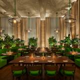 Cover image for Lilac