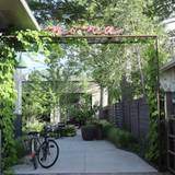 Cover image for Nona Bistro