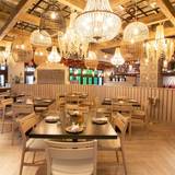 Cover image for VIOLI - Oakbrook