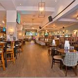 Cover image for The Sportsman Stratford