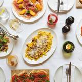 Cover image for The Italian Greyhound