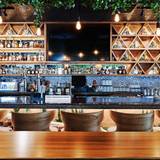 Cover image for La Capital MX