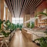 Cover image for Market at EDITION