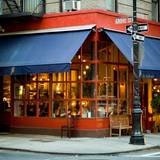 Cover image for Little Owl