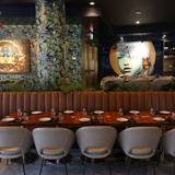 Cover image for Monarca