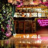 Cover image for Juniper