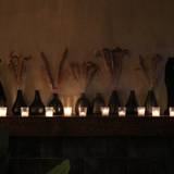 Cover image for Casa Pantera