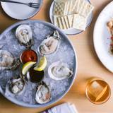 Cover image for Saltine