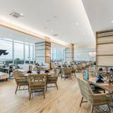 Cover image for The Abalone