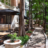 Cover image for Zocca Cuisine d'Italia