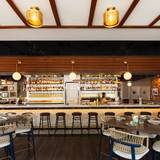 Cover image for The Salt Line - Bethesda