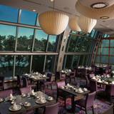 Cover image for The Golden Lotus