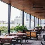 Cover image for Brass Eye