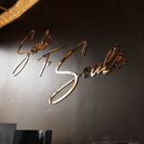 Cover image for Soul to Soul