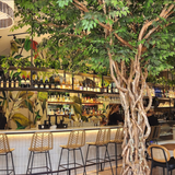 Cover image for Pigeon Caf & Bar - McGill