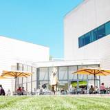 Cover image for Nasher Cafe at Duke University