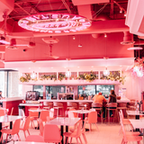 Cover image for Taquero Mucho - Domain