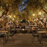 Cover image for Grapefruit Basil Tommy Bahama Miramonte Indian Wells