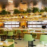 Cover image for CAMP